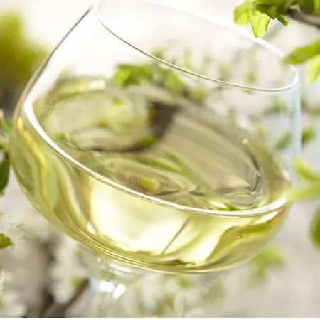 Lumineux, à 2 Minutes De Colmar * Horbourg