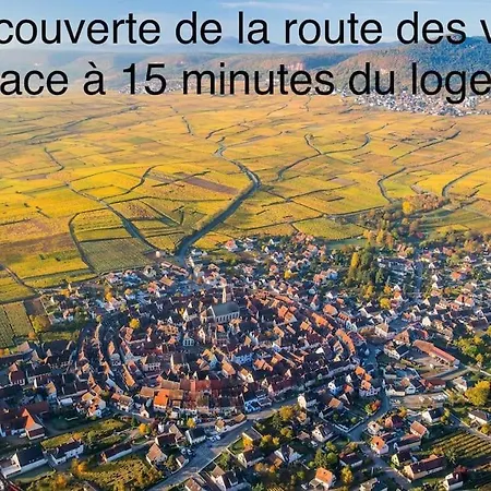 Lumineux, A 2 Minutes De Colmar Apartman